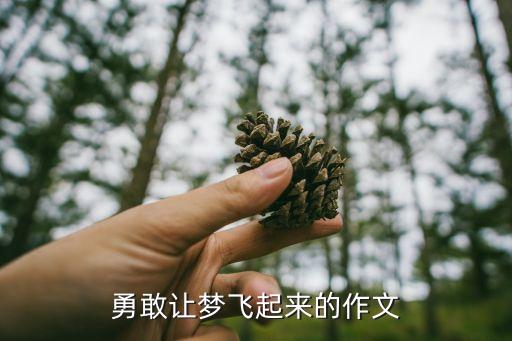 让梦飞起来舞蹈视频下载,中国好舞蹈第十期完整版视频下载