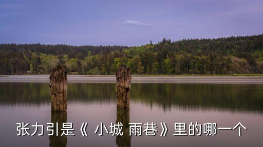张力引是《 小城 雨巷》里的哪一个