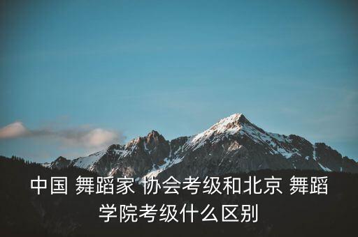 中国舞蹈家协会表演舞蹈