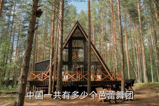 中国一共有多少个芭蕾舞团