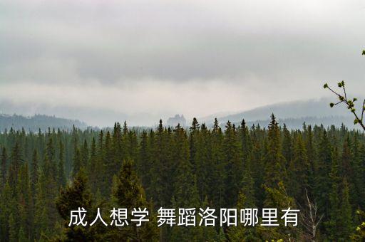 成人舞蹈民族舞高新,沈阳成人民族舞舞蹈班