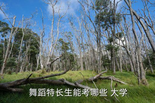  舞蹈特长生能考哪些 大学