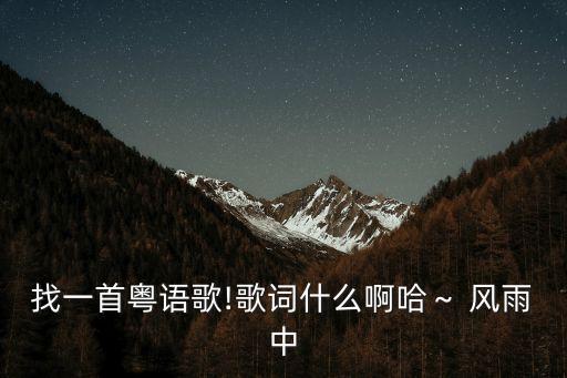 找一首粤语歌!歌词什么啊哈～ 风雨中