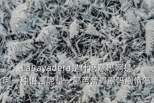 LaBayadera是什麽意思啊是哪一种语言呢是一部芭蕾舞剧吗剧情怎...