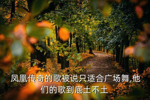  凤凰传奇的歌被说只适合广场舞,他们的歌到底土不土