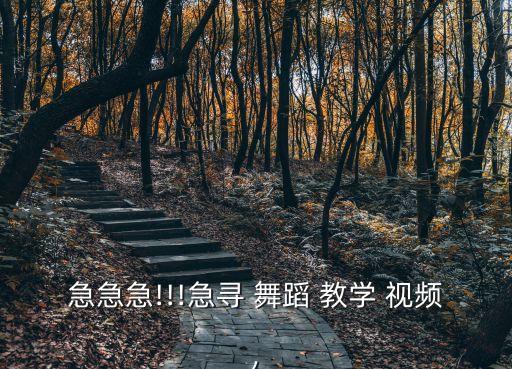 急急急!!!急寻 舞蹈 教学 视频,