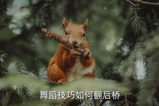  舞蹈技巧如何翻后桥