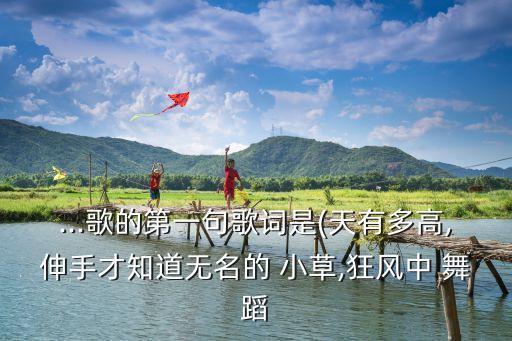 ...歌的第一句歌词是(天有多高,伸手才知道无名的 小草,狂风中 舞蹈