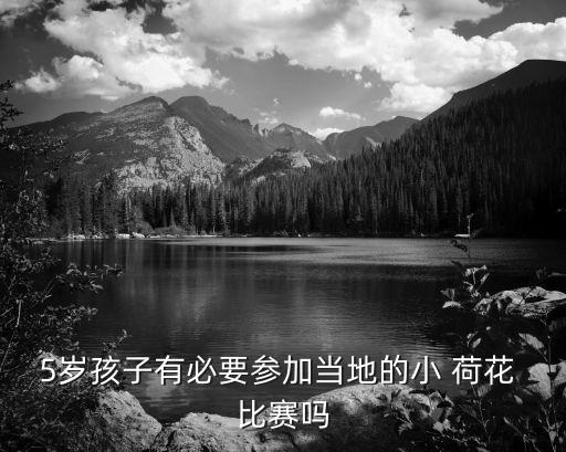 小荷花舞蹈比赛奖,桃李杯和小荷花舞蹈比赛含金量