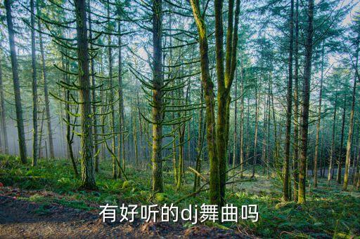 有好听的dj舞曲吗