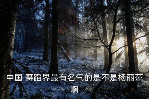 舞蹈中国之最,中国好舞蹈 综艺