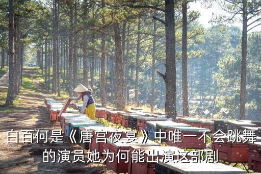 白百何是《唐宫夜宴》中唯一不会跳舞的演员她为何能出演这部剧