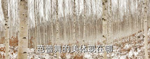 芭蕾舞的美体现在哪