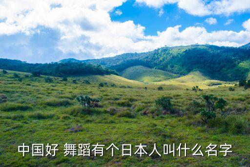 中国好舞蹈男学员,中国男舞蹈艺术家