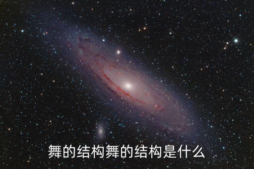 舞的结构舞的结构是什么
