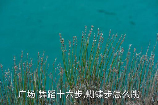 广场 舞蹈十六步,蝴蝶步怎么跳