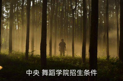 中央 舞蹈学院招生条件