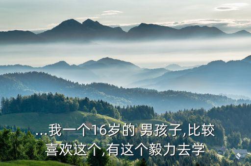 ...我一个16岁的 男孩子,比较喜欢这个,有这个毅力去学