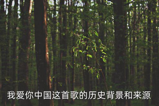 我爱你中国这首歌的历史背景和来源