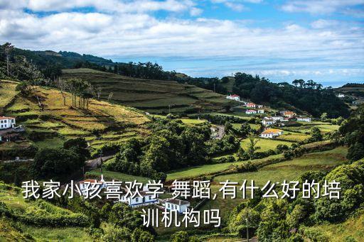 我家小孩喜欢学 舞蹈,有什么好的培训机构吗