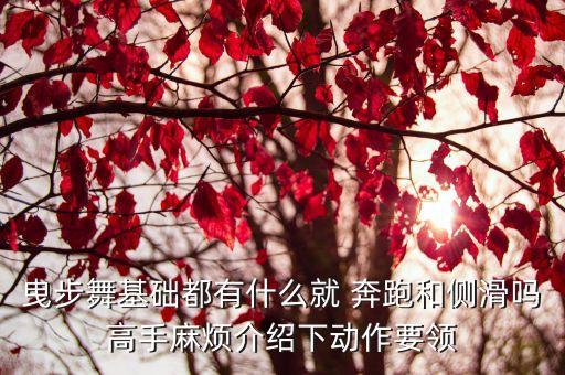 奔跑舞蹈教学版,羽泉奔跑舞蹈视频教学视频