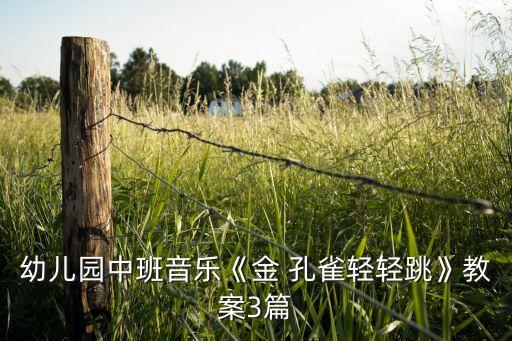 金孔雀舞蹈五级视频,傣族舞金孔雀舞蹈视频