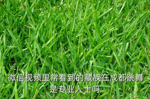  微信视频里常看到的藏族在成都跳舞是专业人士吗