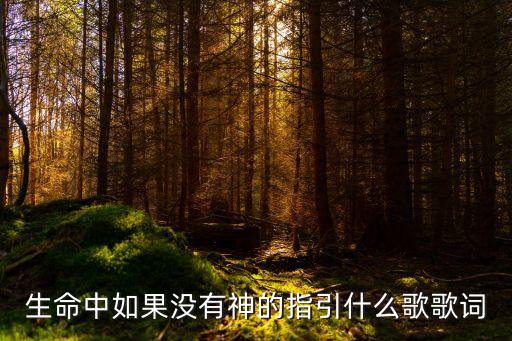 生命中如果没有神的指引什么歌歌词