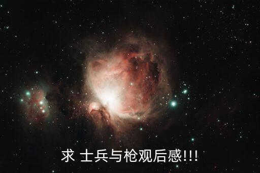 求 士兵与枪观后感!!!