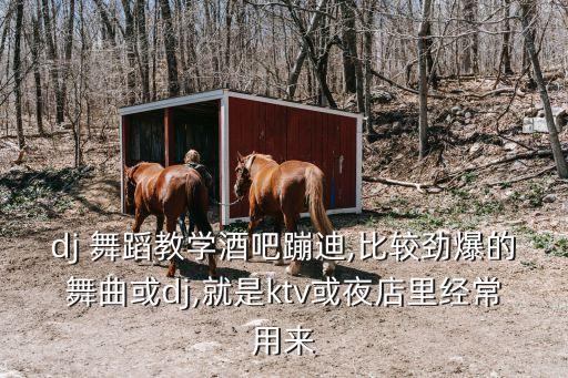 dj 舞蹈教学酒吧蹦迪,比较劲爆的舞曲或dj,就是ktv或夜店里经常用来