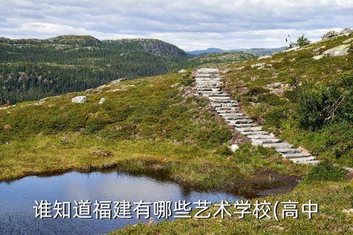 谁知道福建有哪些艺术学校(高中