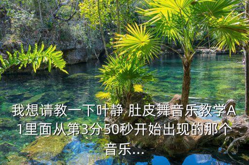 肚皮舞音乐学舞蹈,音乐学包括舞蹈吗