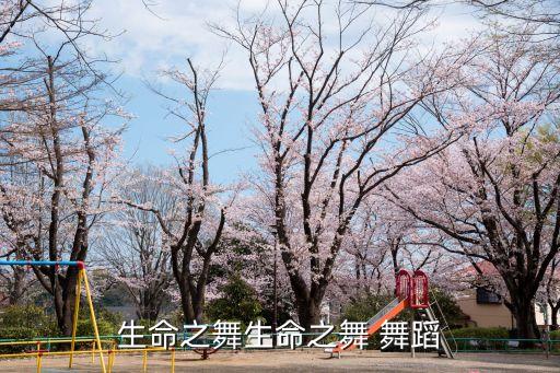 彝族广场舞蹈视频大全,七月火把节彝族舞蹈视频大全
