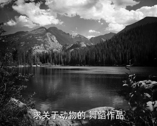 藏羚羊舞蹈感受,又见藏羚羊舞蹈视频完整版