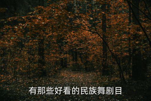 有那些好看的民族舞剧目