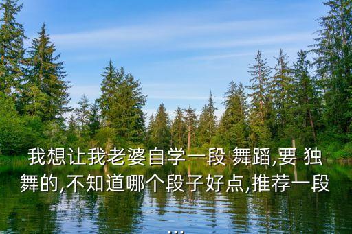 我想让我老婆自学一段 舞蹈,要 独舞的,不知道哪个段子好点,推荐一段...