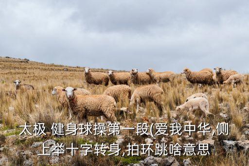 太极 健身球操第一段(爱我中华,侧上举十字转身,拍环跳啥意思