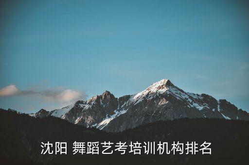 沈阳少儿舞蹈专业学校,山东省舞蹈专业学校有哪些