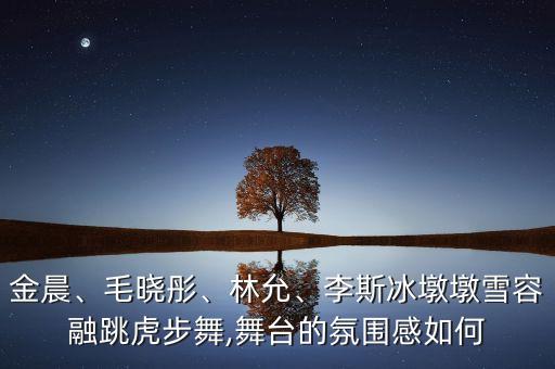 金晨、毛晓彤、林允、李斯冰墩墩雪容融跳虎步舞,舞台的氛围感如何