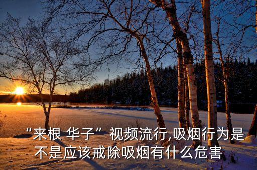“来根 华子”视频流行,吸烟行为是不是应该戒除吸烟有什么危害