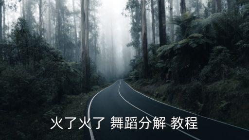 火了火了 舞蹈分解 教程