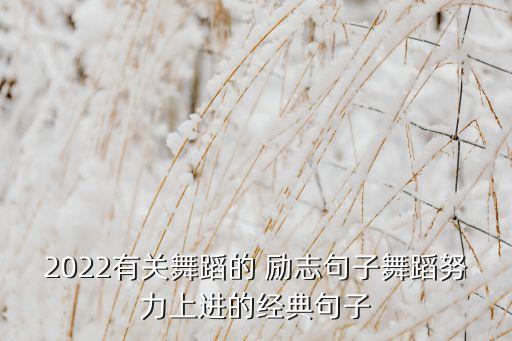 2022有关舞蹈的 励志句子舞蹈努力上进的经典句子