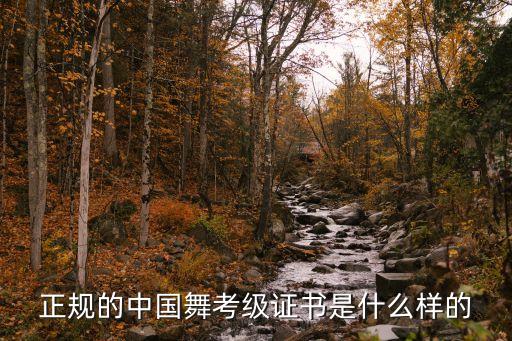 中国舞蹈家协会 咯咯咯