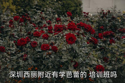  深圳西丽附近有学芭蕾的 培训班吗