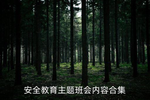 安全教育主题班会内容合集