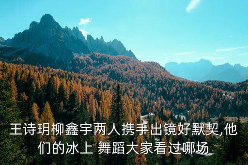 一箭梅舞蹈,一剪梅太极剑全套演示