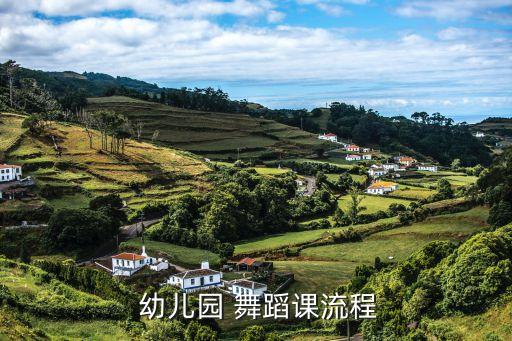  幼儿园 舞蹈课流程