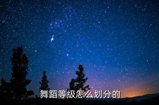 9级舞蹈舞蹈考级视频,舞蹈九级考级