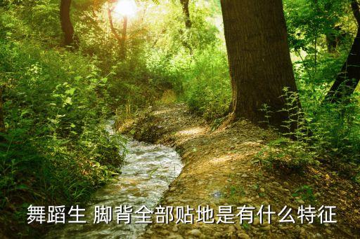  舞蹈生 脚背全部贴地是有什么特征