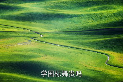 学国标舞贵吗